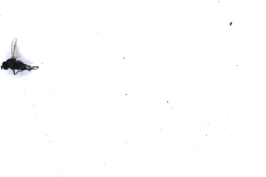 Image 24
